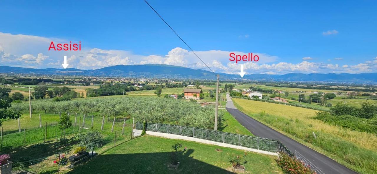 Delizioso Appartamento Collinare Limigiano Esterno foto