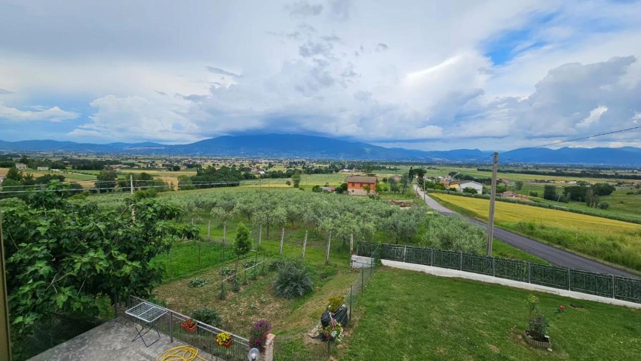 Delizioso Appartamento Collinare Limigiano Esterno foto